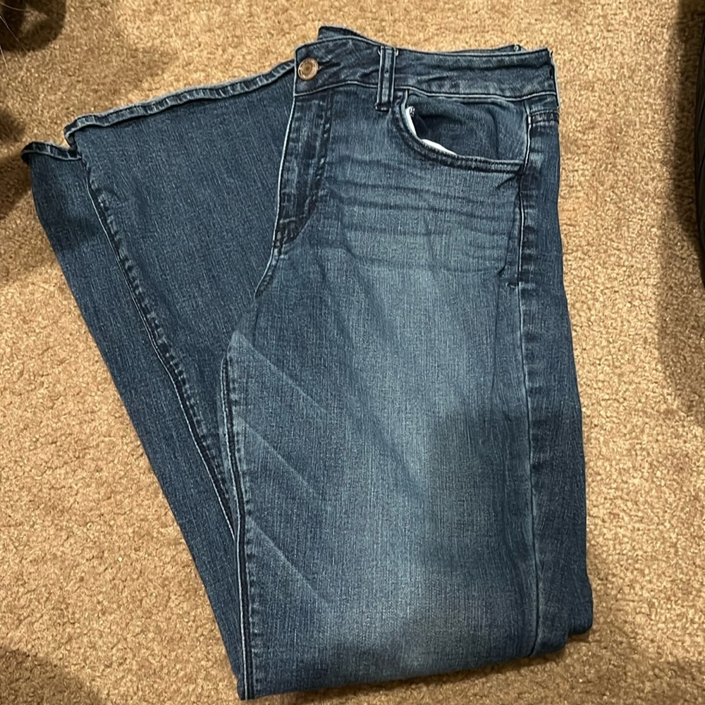 AE Artist jeans